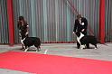 IMG_0055