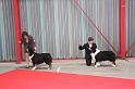 IMG_0060