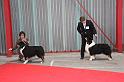 IMG_0063
