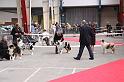 IMG_0070
