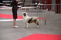 IMG_0075