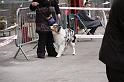 IMG_0078