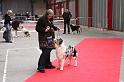 IMG_0080