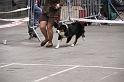 IMG_0105