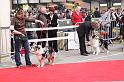IMG_0111