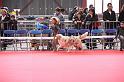IMG_0125