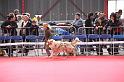 IMG_0126