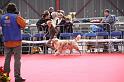 IMG_0127