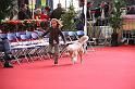 IMG_0128