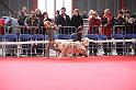 IMG_0137