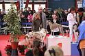 IMG_0144