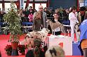 IMG_0145