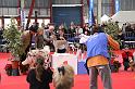 IMG_0151