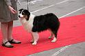 IMG_0181