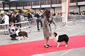 IMG_0188