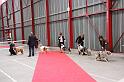 IMG_0189