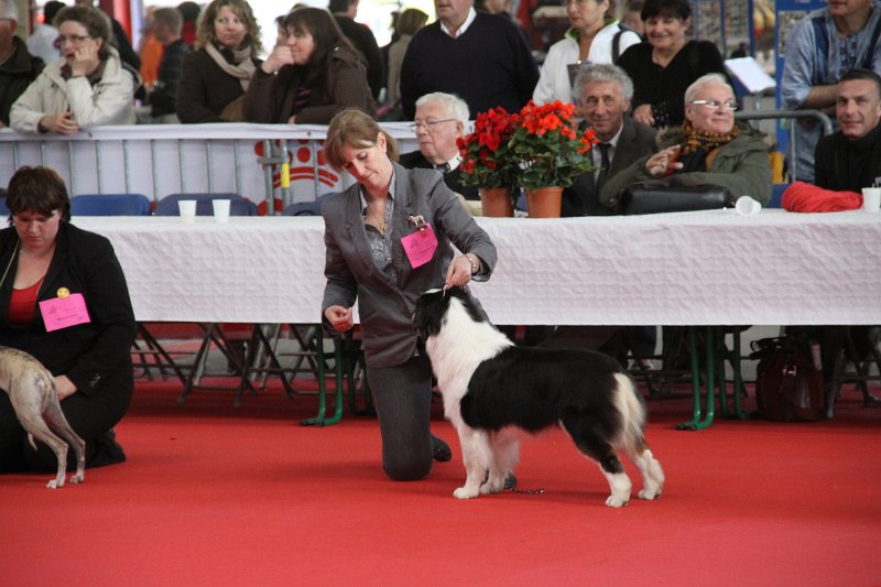 IMG_0153.JPG