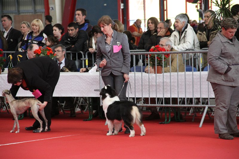 IMG_0157.JPG