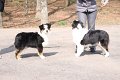 IMG_0125