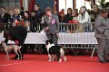 IMG_0157