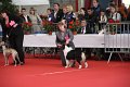 IMG_0158