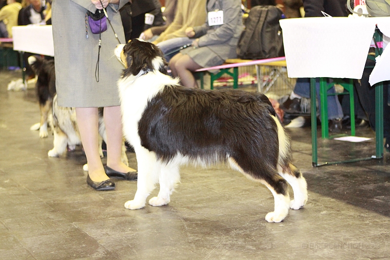 3_Frontieres_2009-0076.JPG
