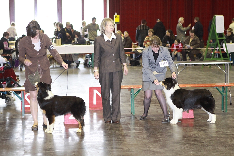3_Frontieres_2009-0146.JPG