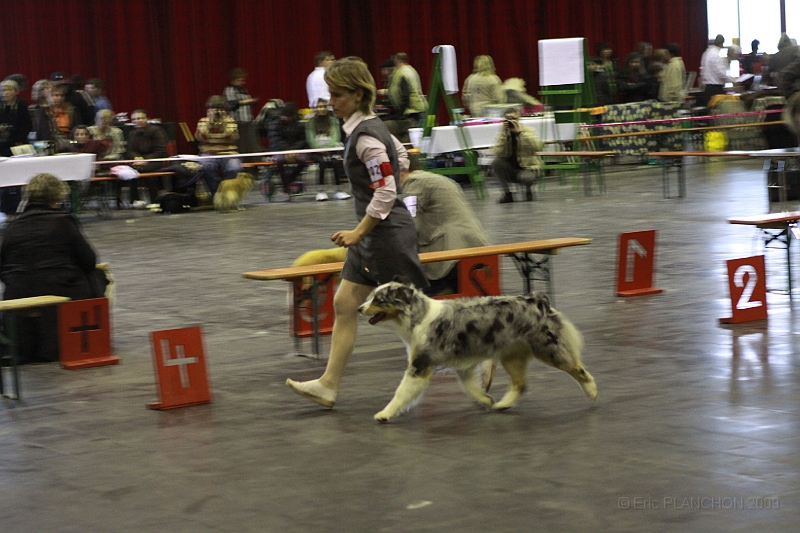 3_Frontieres_2009-0168.JPG