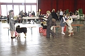 3_Frontieres_2009-0029