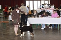 3_Frontieres_2009-0125