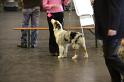 IMG_0019