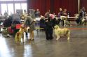 IMG_0035
