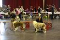 IMG_0037