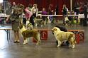IMG_0038