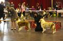 IMG_0039