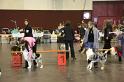 IMG_0063