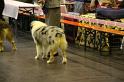 IMG_0089