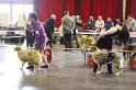 IMG_0126