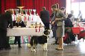 IMG_0156
