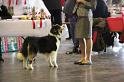 IMG_0157