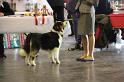 IMG_0158