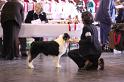 IMG_0173