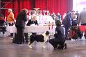 IMG_0177
