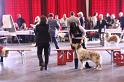 IMG_0187