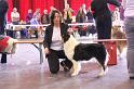IMG_0196