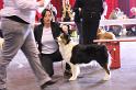 IMG_0206