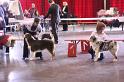 IMG_0225