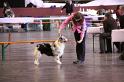IMG_0227