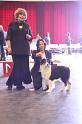 IMG_0267