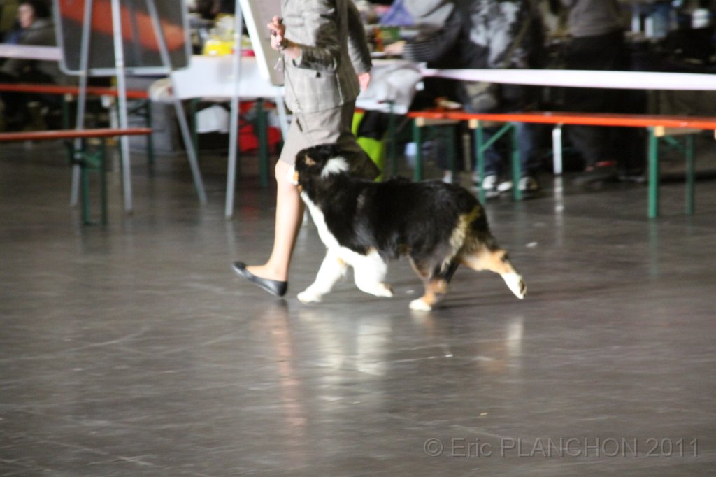 IMG_0018.JPG